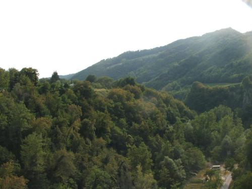 een luchtzicht op een beboste heuvel met een weg bij Il Ghiro in Linaro