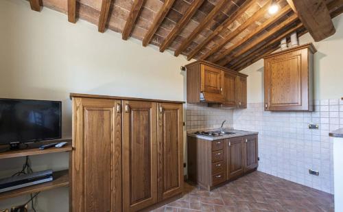 a kitchen with wooden cabinets and a flat screen tv at Antica Grancia Di Quercecchio in Montalcino