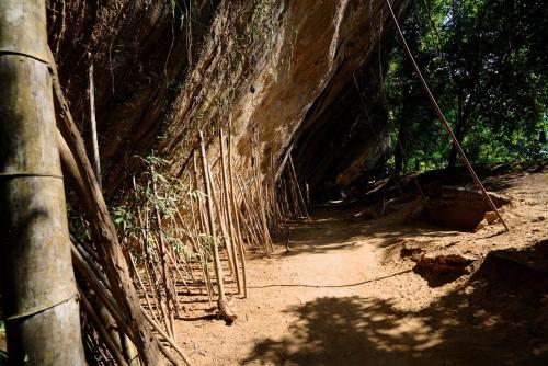a group of tree roots on a dirt trail at River Kwai Jungle Rafts in Sai Yok