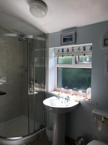 a bathroom with a sink and a shower and a toilet at The Garden Cottage, Inglewhite in Inglewhite