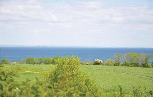 a large green field with the ocean in the background at Three-Bedroom Holiday Home In Sydals in Ertebjerg Skov