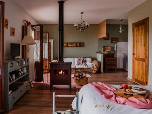 una sala de estar con estufa de leña. en Hospedería del Valle Boutique Apartments, en Gargantilla del Lozoya