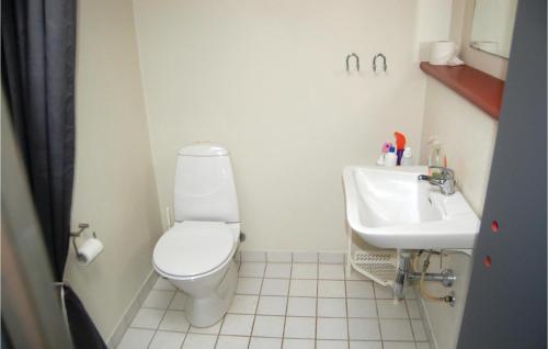 霍如帕的住宿－Awesome Home In Sydals With Kitchen，一间带卫生间和水槽的浴室