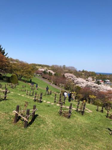 a cemetery with a bunch of chairs in the grass at Guest House Asahi in Otaru