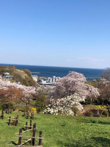 a view of a park with flowering trees and the ocean at Guest House Asahi in Otaru
