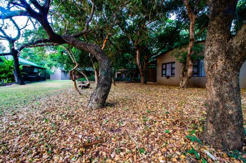 Κήπος έξω από το Emdoneni Lodge with Zululand Cat Conservation Project