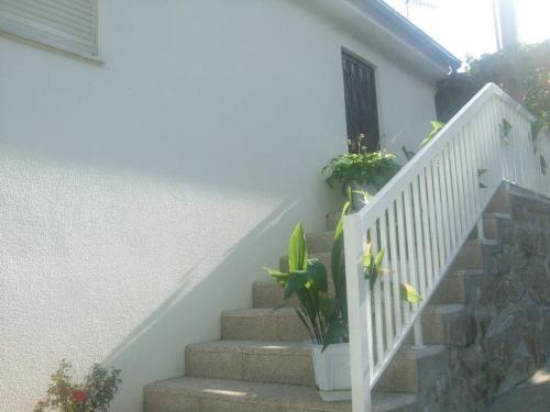 a staircase with potted plants on the side of a house at Casa Moinhos do Rio in Paredes