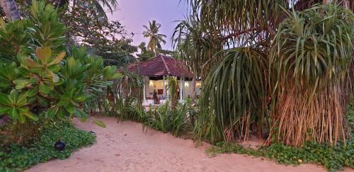 Κήπος έξω από το Talalla Beach Bungalows