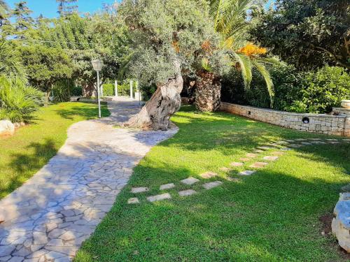 a tree sitting in the middle of a stone path at All`Ombra del Carrubo in Polignano a Mare