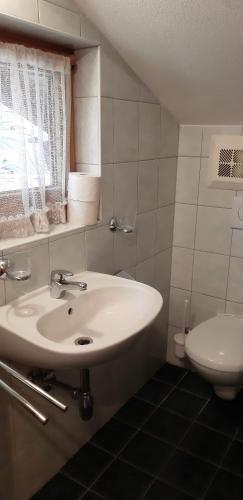 a bathroom with a sink and a toilet at Pension Wassererhof in Gerlos