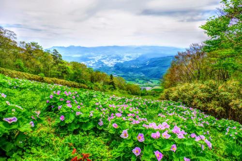 Naturlandschaft in der Nähe des Ryokans