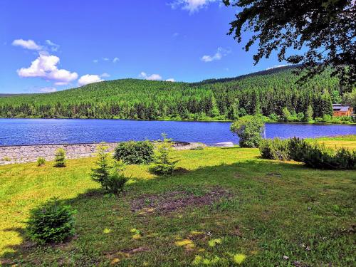 a view of a lake with trees and a grass field at Rodinný "Hotel U Můstků" in Desná