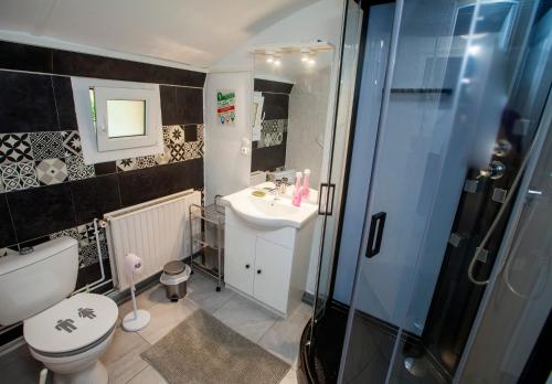a bathroom with a toilet and a sink and a shower at GÎTE Le Moulineau in Deville