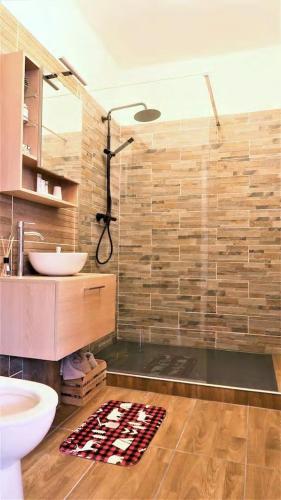 une salle de bain avec une douche, un lavabo et un miroir dans l'établissement Appart'Confort - Le Lodge, à Saint-Brieuc