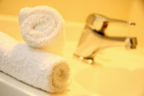 a roll of toilet paper sitting on top of a sink at The Towers on the Park in Christchurch