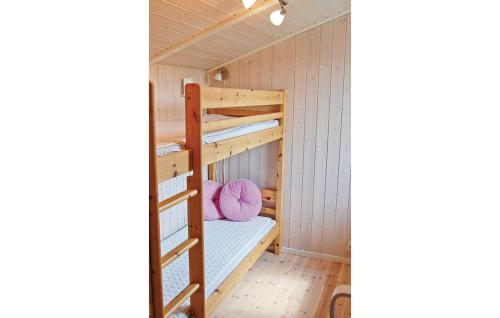 a bunk bed in a room with a ladder at Stunning Home In Juelsminde With Sauna, Wifi And 3 Bedrooms in Sønderby