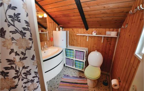 SkovbyballeにあるAwesome Home In Sydals With 2 Bedrooms And Wifiの小さなバスルーム(トイレ、シンク付)