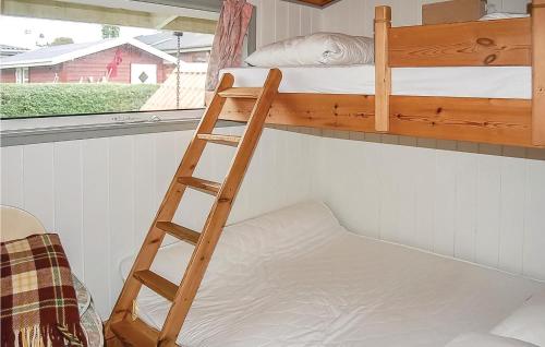a ladder next to a bunk bed in a room at 2 Bedroom Nice Home In Hejls in Hejls