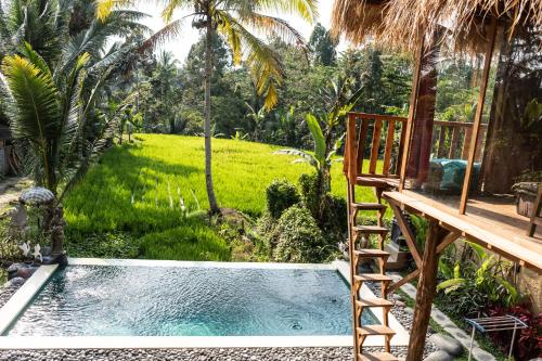 Swimming pool sa o malapit sa BALI BAMBOO JUNGLE HUTS AND HOSTEL