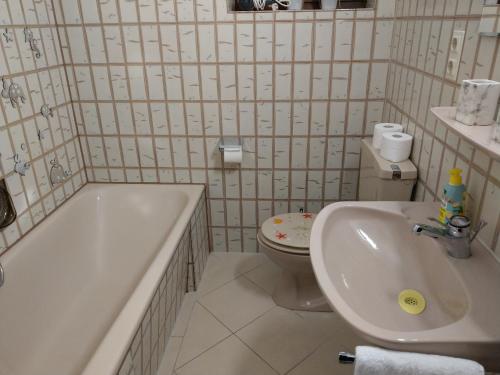 a bathroom with a toilet and a tub and a sink at Ferien Paradies in Baiersbronn