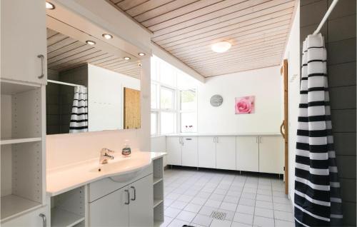HasleにあるRubinsen Skovhuseのバスルーム(洗面台、鏡付)