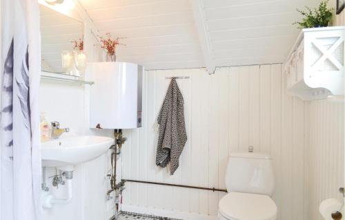 Bjerregårdにある2 Bedroom Beautiful Home In Hvide Sandeのバスルーム(トイレ、洗面台付)