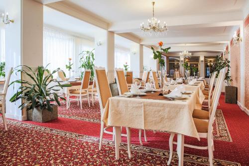 Gallery image of Hotel Ostrov in Nymburk