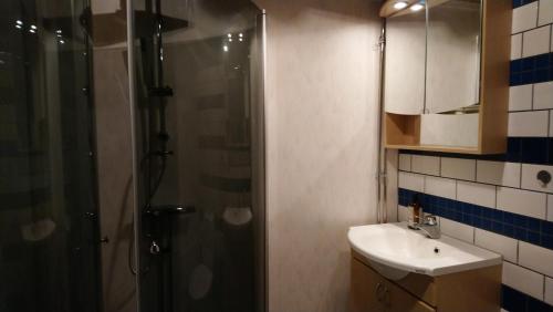 a bathroom with a shower and a sink at Björboholm in Gråbo