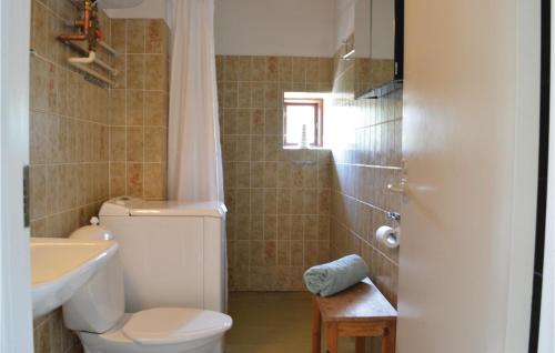 uma casa de banho com um WC, um lavatório e um chuveiro em 1 Bedroom Cozy Apartment In Hornbk em Hornbæk