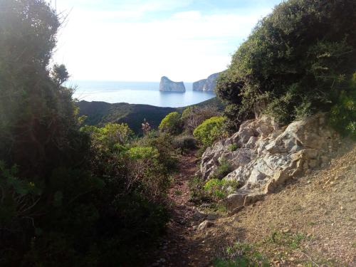 a path on a hill with the ocean in the background at Sa Corte Antiga in Nebida