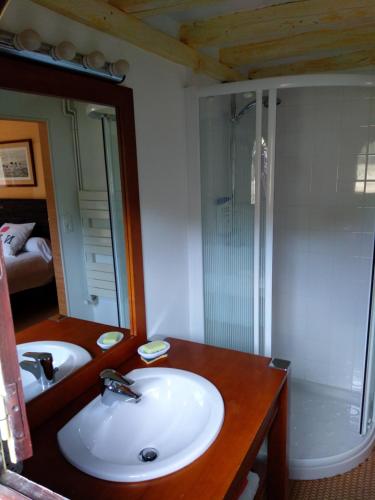 a bathroom with a sink and a shower and a mirror at Domaine de la Richardelle in Courtenay
