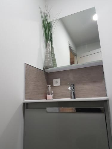 a bathroom with a sink and a mirror at Naova Cosy Studio in Kaysersberg