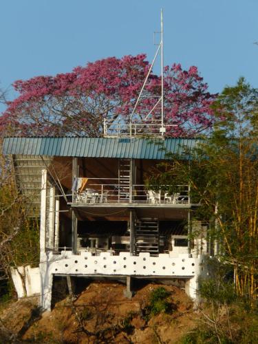 a building on top of a hill with a tree at Boca Brava Lodge in Boca Chica