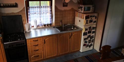 Kuchyňa alebo kuchynka v ubytovaní Drevenica pod Tlstou