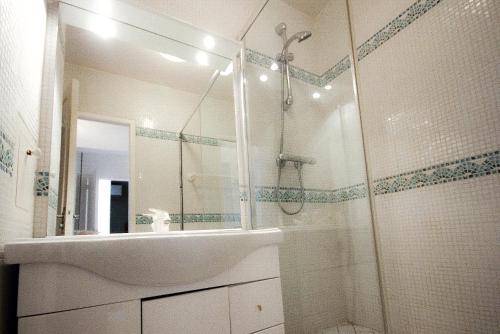 uma casa de banho com um chuveiro, um lavatório e um espelho. em Appart très sympa à St Aubin sur Mer em Saint-Aubin-sur-Mer