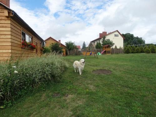 Agroturystyka U Zosi Bałtów