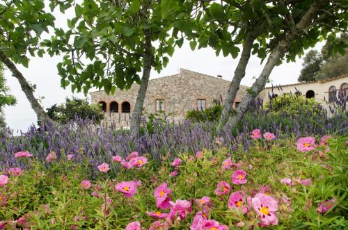 un campo de flores frente a un edificio en Mas Valentí 1511 en Vall-Llobrega