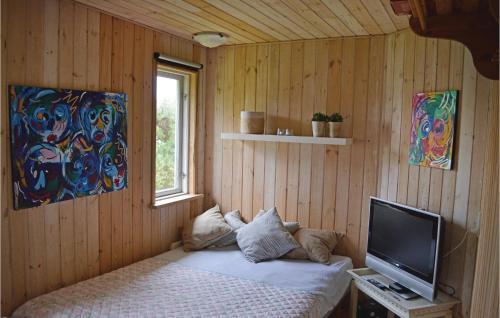 HaslevgårdeにあるNice Home In Hadsund With 3 Bedrooms, Sauna And Wifiのベッドとテレビが備わる客室です。