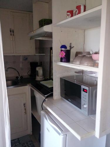 una piccola cucina con forno a microonde e lavandino di Domaine du mont scolan a Montgardon