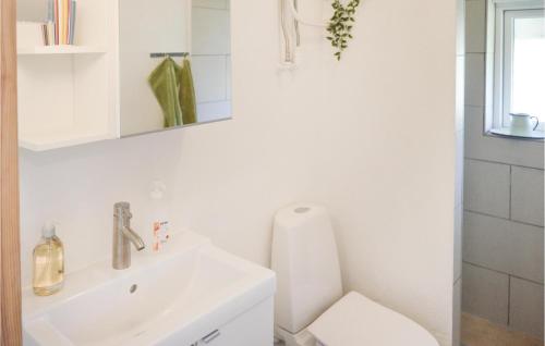 ein weißes Bad mit einem WC und einem Waschbecken in der Unterkunft Stunning Home In Hadsund With Kitchen in Haslevgårde