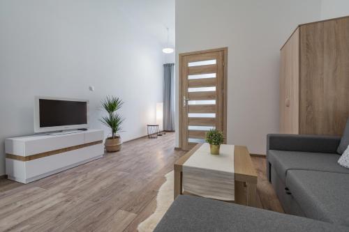 a living room with a couch and a tv at Apartamenty INTERDOM in Zakopane