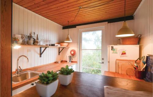 エーベルトフトにあるLovely Home In Ebeltoft With Wifiのキッチン(シンク付)、植物の入ったカウンター