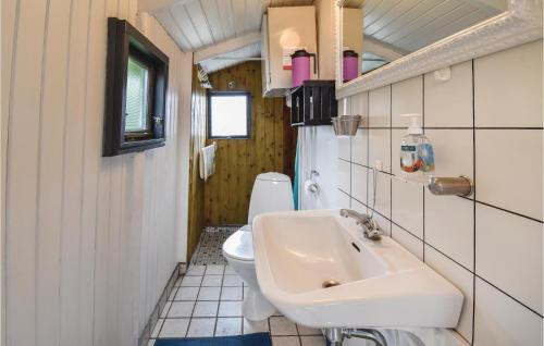 オテルプにあるAmazing Home In Otterup With 2 Bedrooms And Wifiのバスルーム(洗面台、トイレ付)