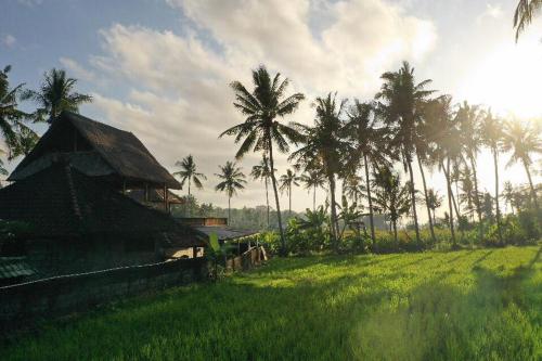 Gallery image of Pondok Diana in Jasri