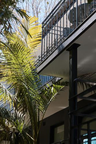 a building with a staircase next to a palm tree at Ballantyne at Mosman Apartments in Sydney