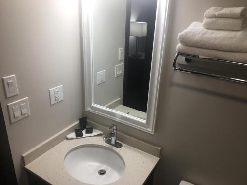 a bathroom with a sink and a mirror at Homestead Inn & Suites in Vanderhoof