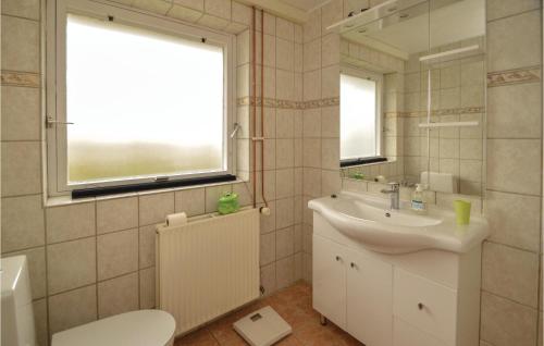 リーベにあるNice Apartment In Ribe With 1 Bedrooms And Wifiのバスルーム(洗面台、トイレ付)、窓が備わります。