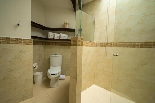 a bathroom with a toilet and a glass shower at Villa Toscana ValQuirico Lofts & Suites Hotel Boutique in Santeagueda