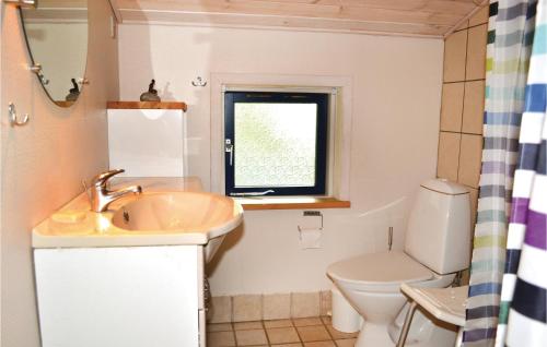 Mandø ByにあるAmazing Home In Ribe With 3 Bedrooms And Wifiのバスルーム(洗面台、トイレ付)、窓が備わります。