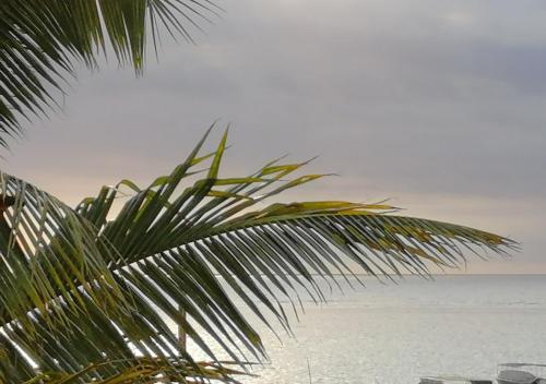 Un paisaje natural cerca of the bed and breakfast